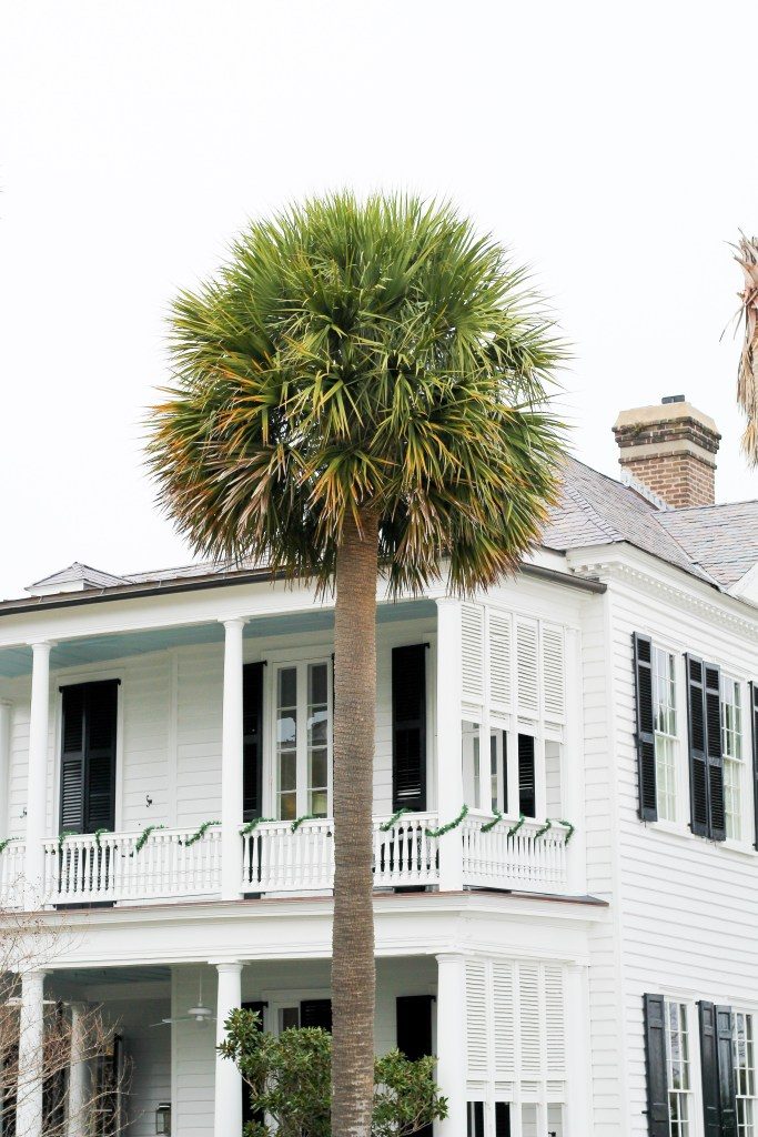 Travel Diary // Charleston, SC: What To Eat