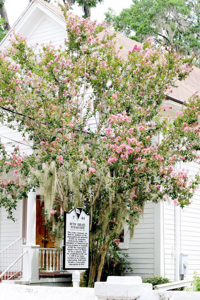 Beaufort, SC: Weekend Recap