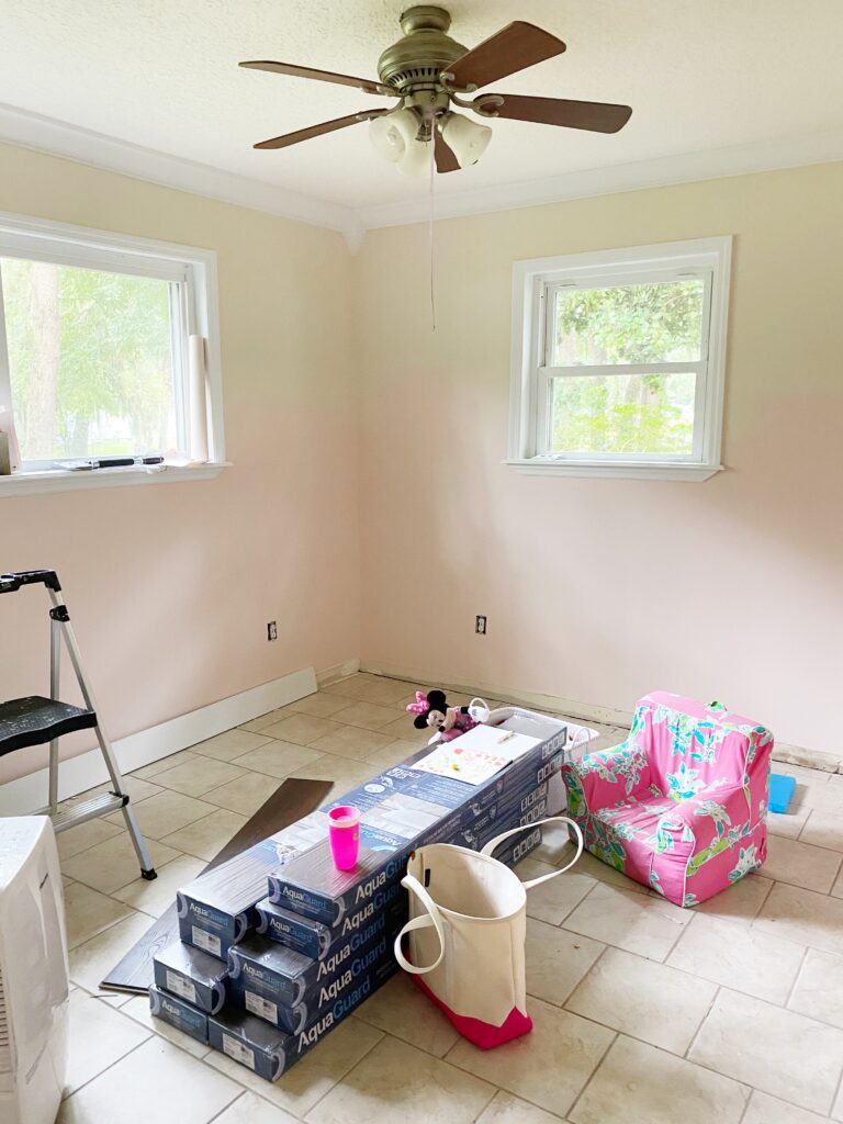 Home Reno Update No. 1