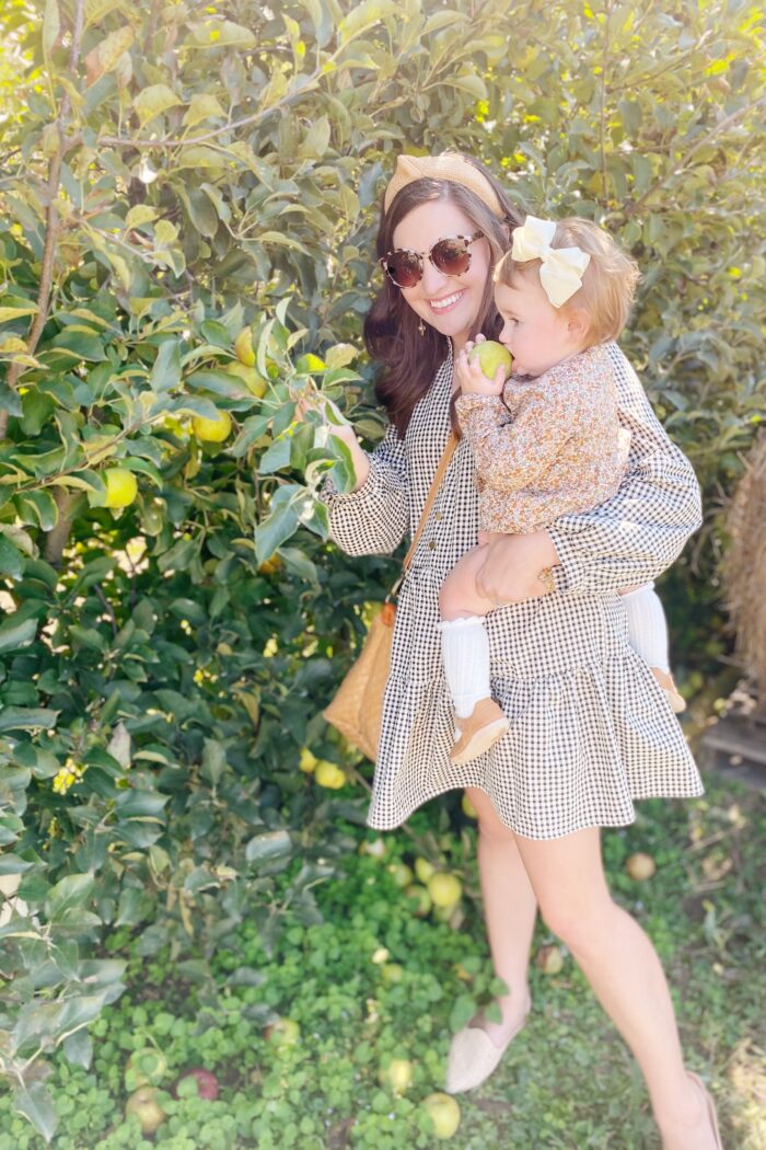 Apple Picking in Elijay, GA
