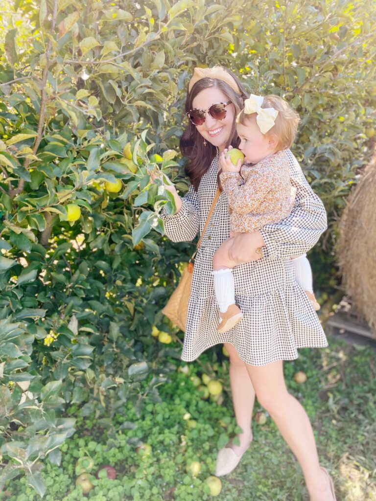 Apple Picking in Elijay, GA